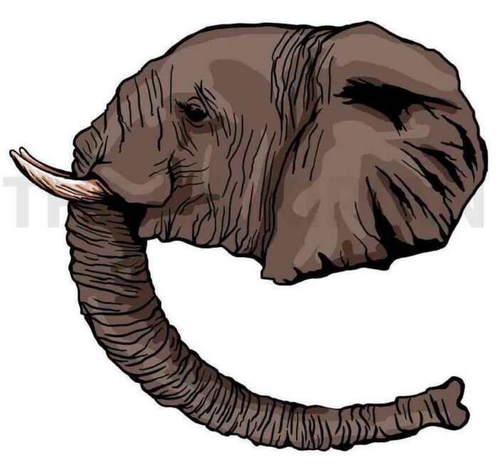 E-Elephant - Image 1