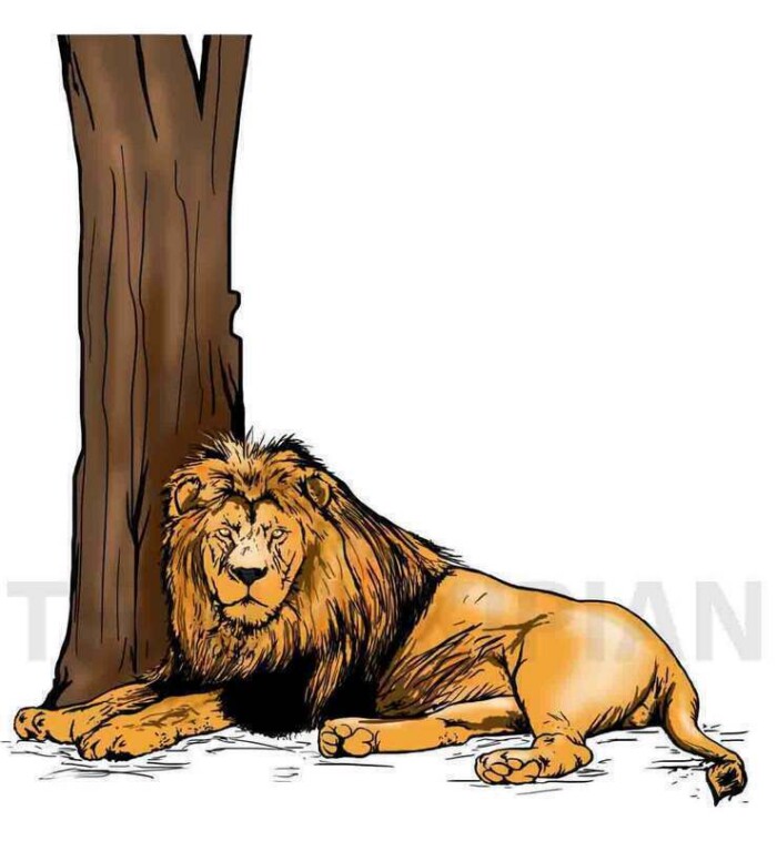L-Lion - Image 1