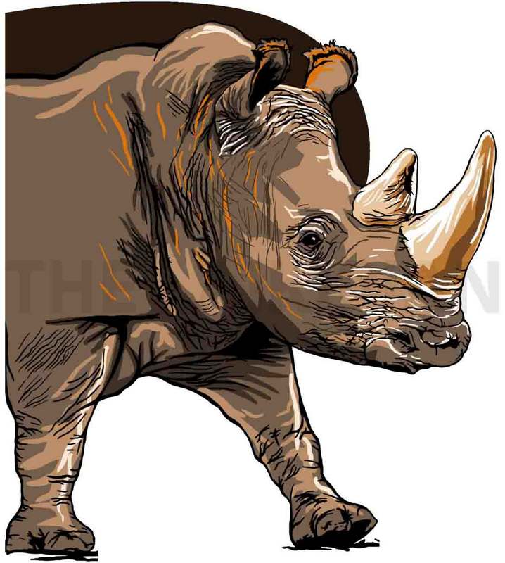 R R-Rhino - Image 1