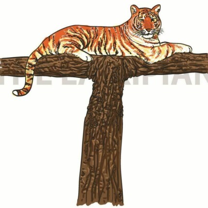 T-Tiger