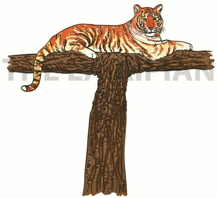 T-Tiger - Image 1