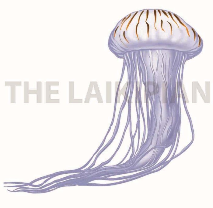 J- Jellyfish - Image 1